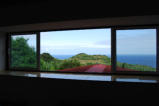 The view