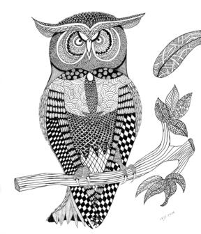 Owl      pen and ink on paper
