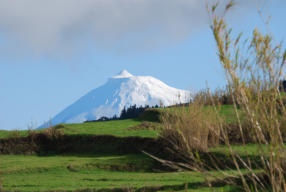 Pico in Winter