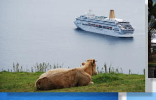 Cruise ship at anchor, Faial