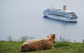 Cruise ship at anchor, Faial