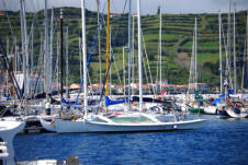 Horta marina