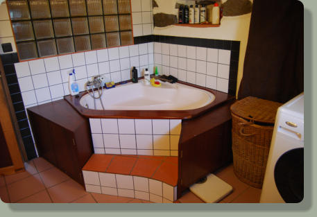 Main floor: bathroom