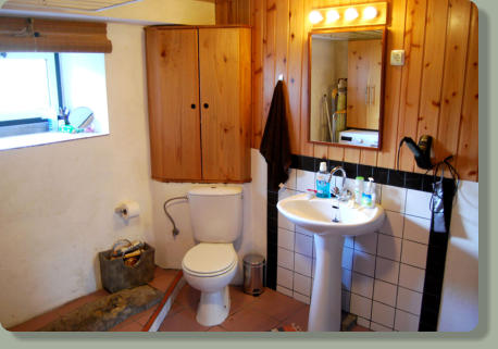 Main floor: bathroom