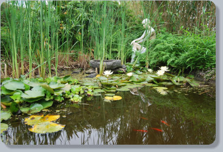 Fish pond