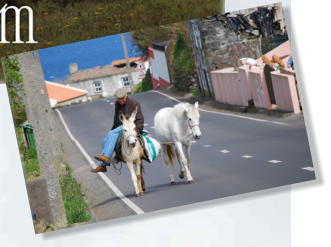 Transport, Cedros, Faial